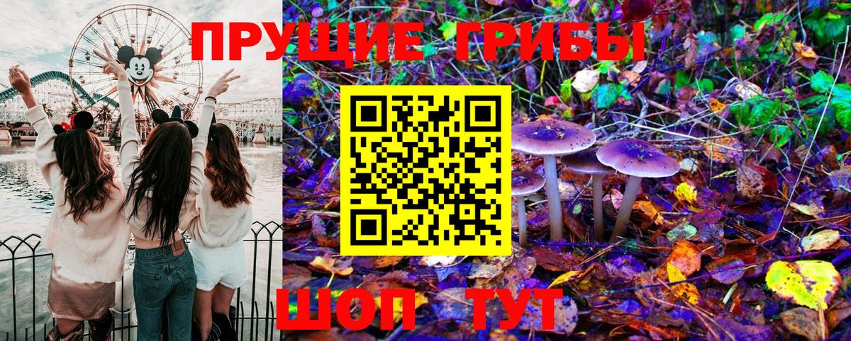 Гай  Псилоцибиновые грибы Psilocybine cubensis  Галлюциногенные грибы Magic Shrooms  Вход с VPN 
