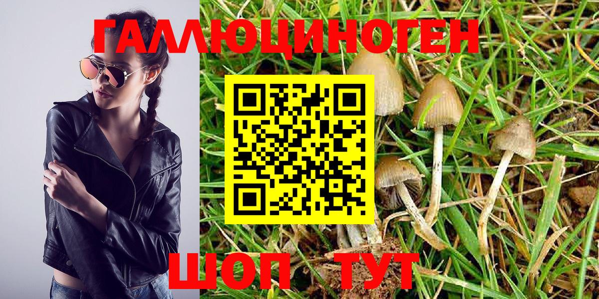 Галлюциногенные грибы MAGIC MUSHROOMS Гай